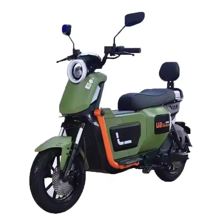 1500W Electric City Bicycle, Sports Bicycle suppliers