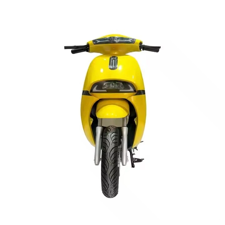 City Motorcycle 1000W Long Range Electric Bicycle 60V Electric Motorcycle factory