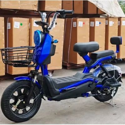 Bicicleta eléctrica plegable personalizada OEM
